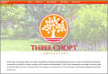 Three Chopt Landscaping